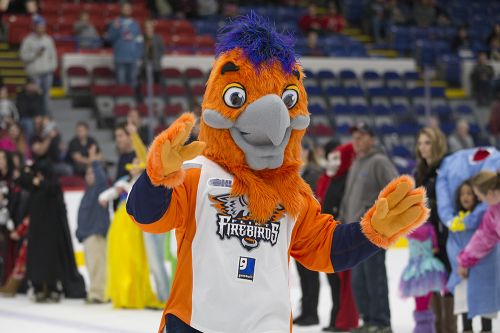 The image of a Firebird mascot. The mascot is an orange bird with purple hair.