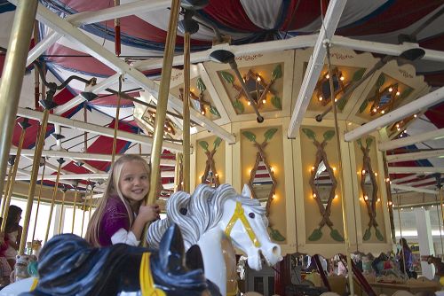 The image is of a little girl riding a carousel. 